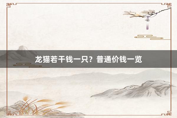 龙猫若干钱一只?普通价钱一览